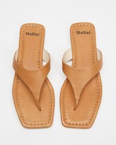 Thumbnail for your product : Mollini Women's Brown All thongs - Blund - Size 38 at The Iconic
