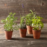 Thumbnail for your product : Williams-Sonoma Vintage Seedling Pots, Set of 4