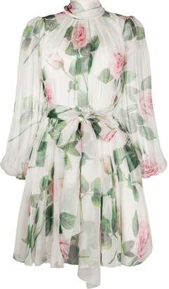 Dolce & Gabbana Rose-Print Chiffon Dress