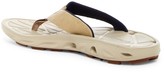 Thumbnail for your product : Columbia Techsun Vent Fish PFG Flip Flop