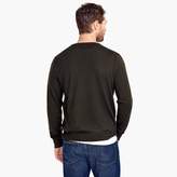 Thumbnail for your product : J.Crew Merino wool crewneck sweater