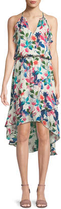 Parker Allister Floral-Print Silk Dress