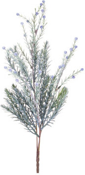 Melrose International Pine Stems