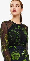 Thumbnail for your product : Phase Eight Alisha Floral Dress