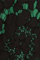 Thumbnail for your product : Iris & Ink Lace top