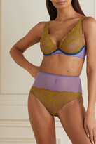 Thumbnail for your product : Dora Larsen Karla Cutout Recycled Lace And Mesh Briefs - Purple
