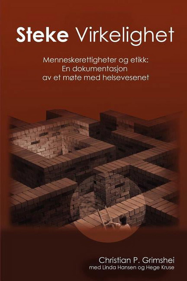 Steke Virkelighet - Menneskerettigheter og etikk: En dokumentasjon av et møte med helsevesenet (Paperback)