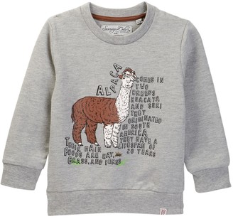 Sovereign Code Zoo Alpaca Print Sweatshirt (Toddler & Little Boys)