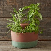 Thumbnail for your product : Williams-Sonoma Joey Roth Self-Watering Planter