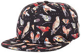 Thumbnail for your product : Neff The Song Birds Cap
