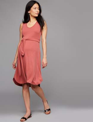 A Pea in the Pod Tie Front Smocked Maternity Dress