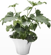 Thumbnail for your product : Georg Jensen Bloom Botanica Large Stainless Steel Flower Pot