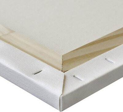 Zoomie Kids Danton Canvas Art