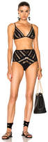 Thumbnail for your product : Zimmermann Tulsi Lace Panel Bikini Set