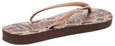 Thumbnail for your product : Havaianas Slim Animals Flip Flop