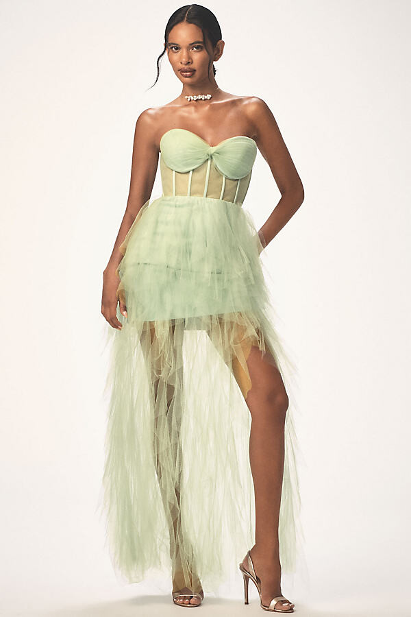 Strapless Bustier Ruffled Tulle Maxi Dress