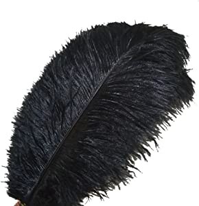 Sowder 10pcs Ostrich Feathers 12-14inch(30-35cm) for Home Wedding Decoration(Black)