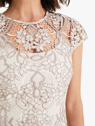 Phase Eight Frances Lace Dress, Latte/Oyster