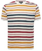 Thumbnail for your product : M&Co Multi stripe crew neck t-shirt
