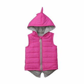 DDSBABY Baby Girls Thermal Gilets Kids Dinosaur Sleeveless Hooded Thick Gilet Vest Coats Outwear Clothing for Autumn Winter 