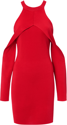 Dion Lee Cherry Sleeve Release Dress
