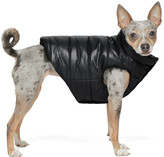 Thumbnail for your product : MONCLER GENIUS Moncler Genius Black Poldo Dog Edition Insulated Jacket