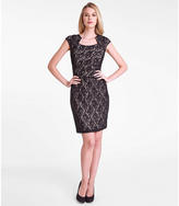 Thumbnail for your product : Tahari by ASL Lace Sheath Dress