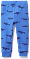 Thumbnail for your product : Old Navy Patterned Leggings for Toddler Boys
