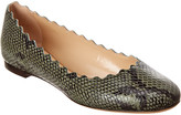 Thumbnail for your product : Chloé Lauren Scalloped Snake-Embossed Leather Ballerina Flat