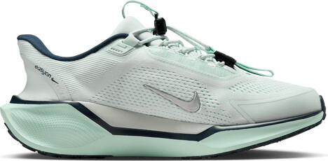 Nike Pegasus Easyon