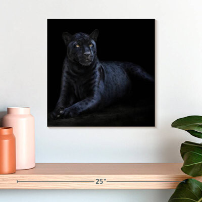 Ebern Designs Brampt Black Jaguar