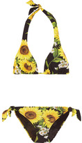 Thumbnail for your product : Dolce & Gabbana Floral-print Halterneck Triangle Bikini - Marigold