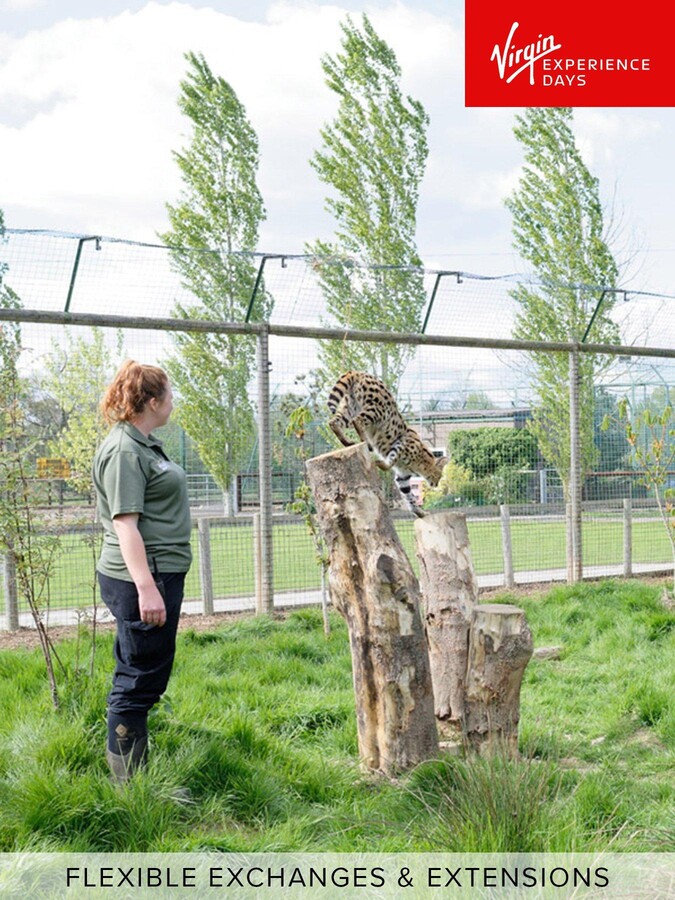 Virgin Experience Days Big Cat Encounter at The Wildlife Heritage