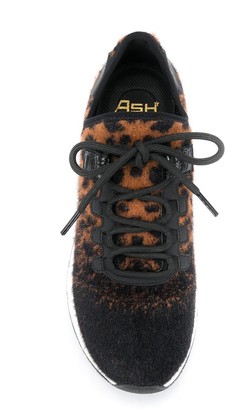 Ash Krush leopard sneakers