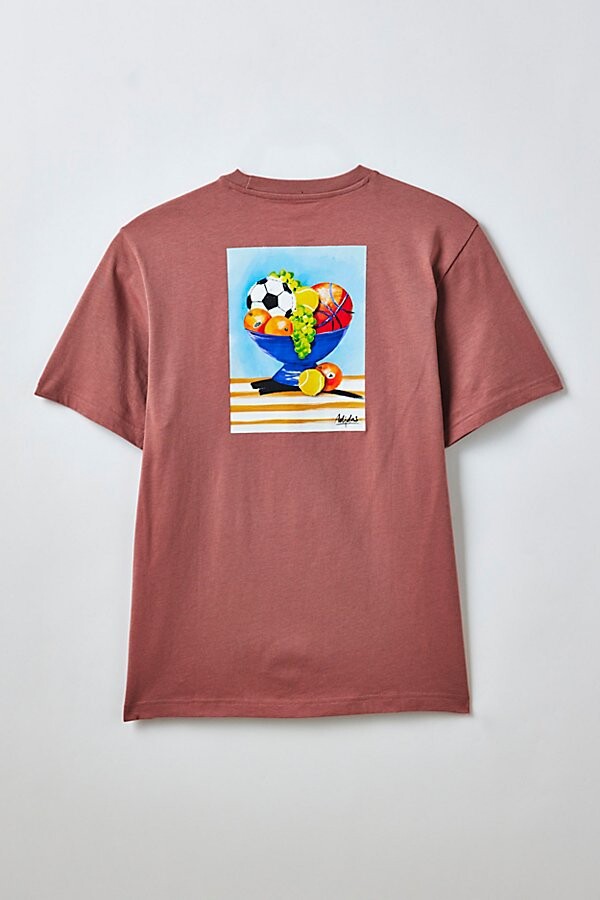 adidas Still Life Bowl Graphic Tee in Warm Clay