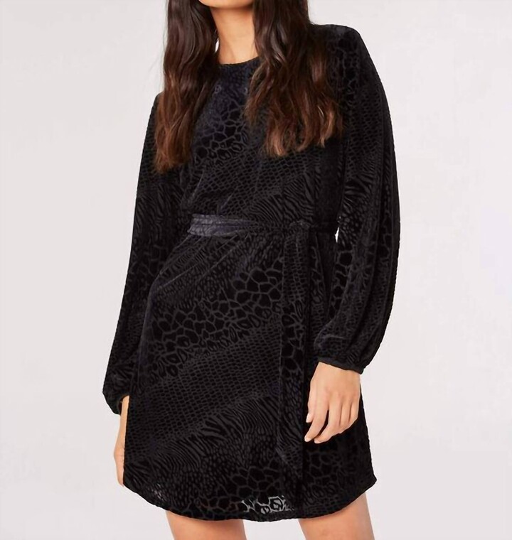 Animal Velvet Burnout Mini Dress In Black Jacquard