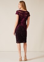 Thumbnail for your product : Phase Eight Aida Tapework Lace Dress