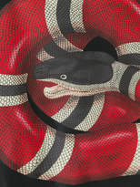 Thumbnail for your product : Gucci kingsnake print bomber jacket