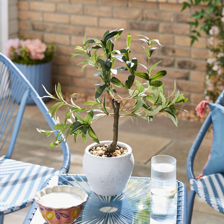 Dunelm Artificial Olive Tree in White Cement Pot Green ShopStyle