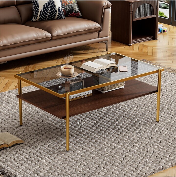 Rainsken Rectangle 2 Tier Coffee Table Center Table with Tempered Glass Top and Wood Storage Shelf for Living Room and Small Space