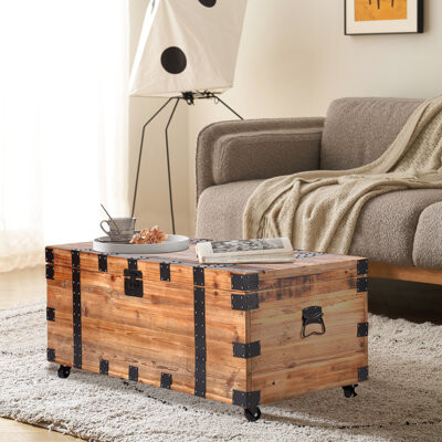 Trent Austin Design Four Wheeled Trunk Table With Sufficient Space, Natural Reclaimed Wood Coffee And Metal, Industrial Vintage Elegance, 41In. Depth, 22In. Width, 20In.