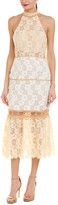 Thumbnail for your product : Foxiedox Lace Midi Dress