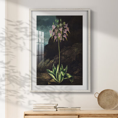 Lark Manor Philomena -Gallery Wrapped Canvas