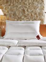 Thumbnail for your product : Brinkhaus Sapphire Hungarian goose down king pillow