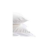Thumbnail for your product : Christy Plain Dye Double flat Sheet White