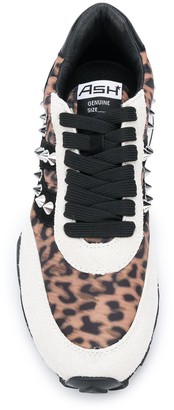 Ash Spider studded sneakers