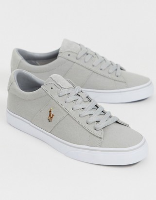 Polo Ralph Lauren canvas sayer trainers in grey with multi player logo