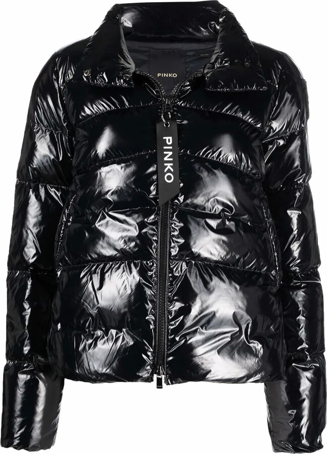 black shine puffer