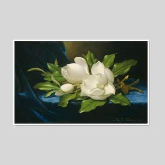 Museums.Co Giant Magnolias on a Blue Velvet Cloth by Martin Johnson Heade Framed Art Print