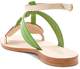 Thumbnail for your product : CoRNETTI Strawberry Sandal